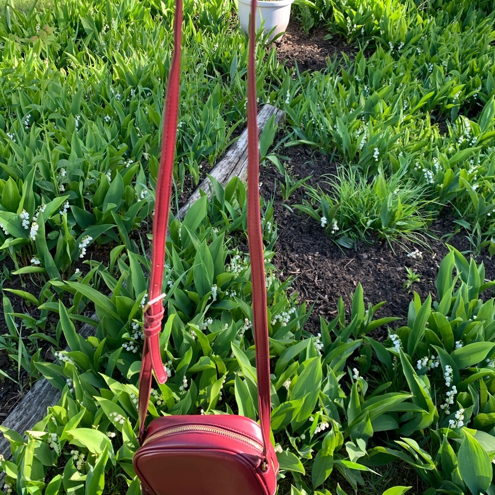 XII | Mini Crossbody - Picture 5 of 13